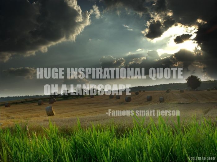 Huge_inspirational_quote_on_a_landscape_by_a_famous_smart_person